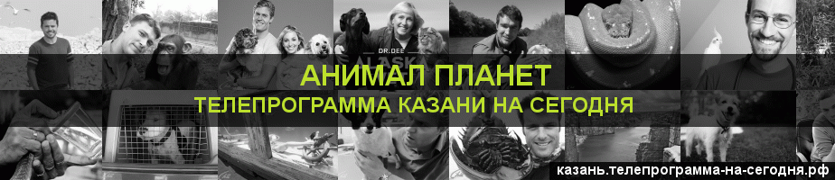 Телепрограмма на сегодня канала Анимал Планет, Казань