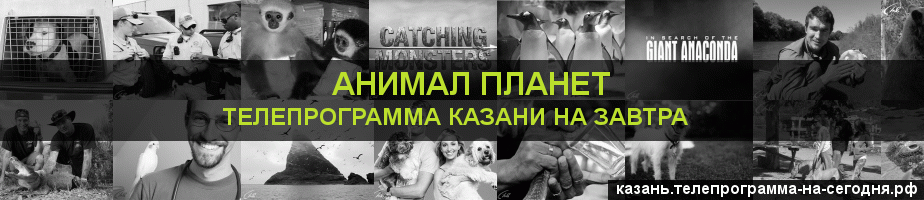 Телепрограмма на завтра канала Анимал Планет, Казань