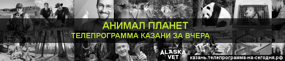 Телепрограмма за вчера канала Анимал Планет, Казань