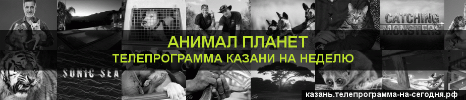 Телепрограмма на неделю канала Анимал Планет, Казань